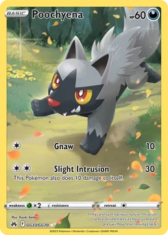 Poochyena Pokemon card from Crown Zenith Galarian Gallery, card number GG33